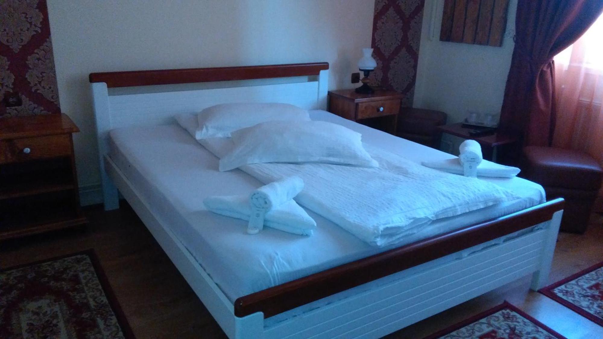 Vila Nicoleta Hotel Sibiu Eksteriør billede